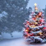Uma árvore de Natal decorada na trama ou na floresta mais próxima pode ser o começo de histórias mágicas para famílias com crianças.